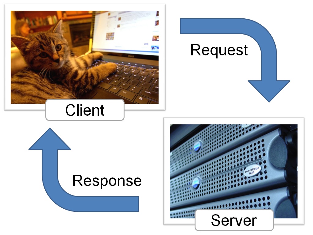 Laptop and server connected via the internet